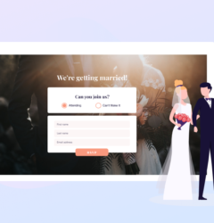 Illustrated wedding RSVP online with married couple